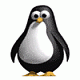 L'Avatar di code010101