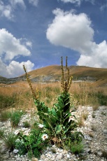 Terminillo - Italy - 14 Agosto 2007