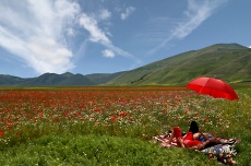 Castelluccio di Norcia - Italy - 17 Giugno 2007