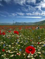 Castelluccio di Norcia - Italy - 17 Giugno 2007 Castelluccio di Norcia - Italy - 17 Giugno 2007