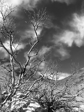 Terminillo - Italy - 21 Gennaio 2007 Terminillo - Italy - 21 Gennaio 2007