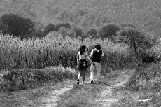 Ventina - Italy - 29 Aprile 2007 Ventina - Italy - 29 Aprile 2007